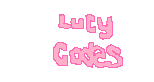 lucy-codes-shield